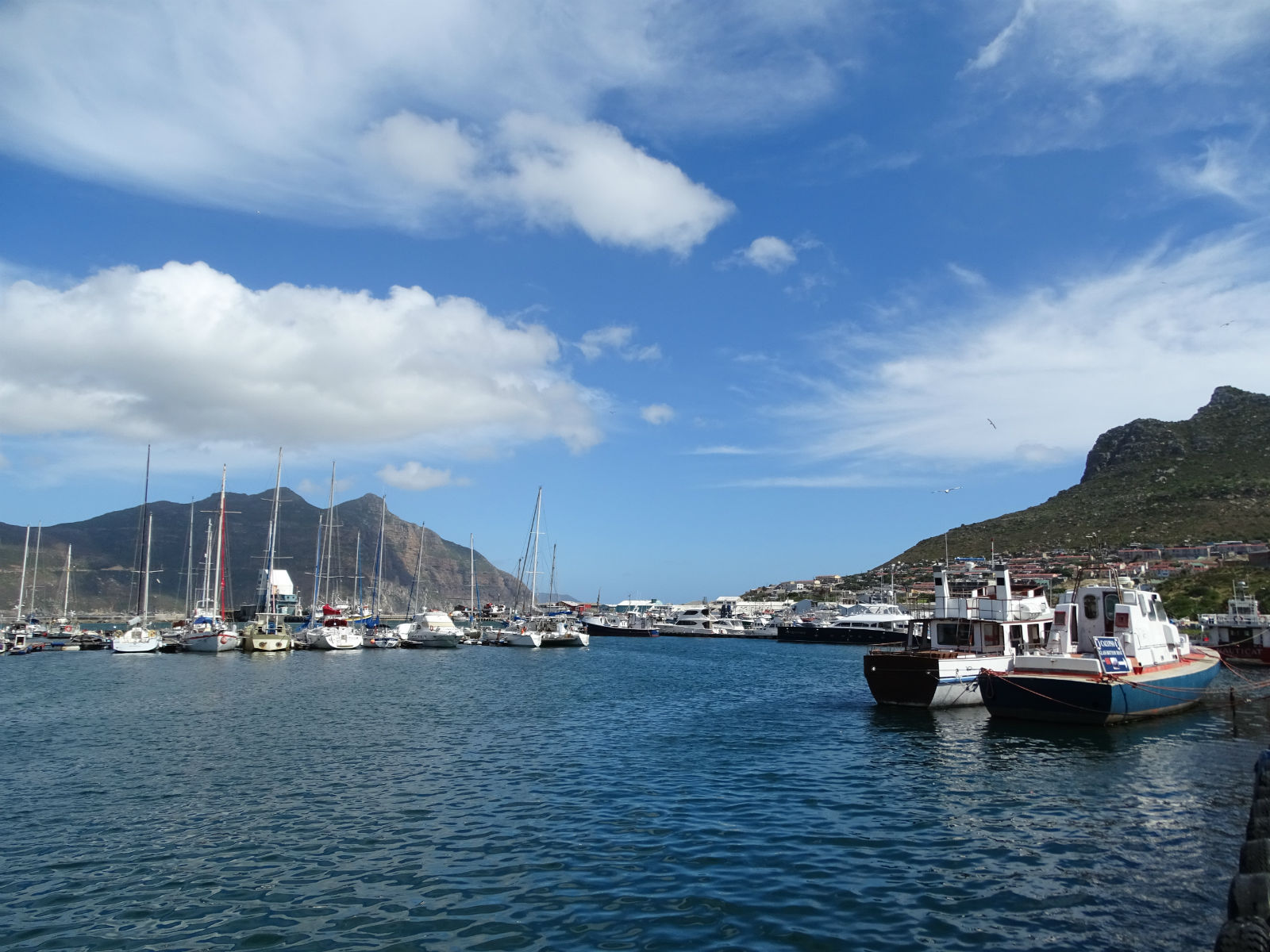 Fishing Harbour of Hout Bay